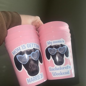 Shy a ajouté une photo de son achat
