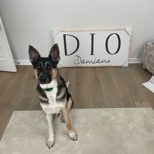 Isabella lade till en bild av sitt köp