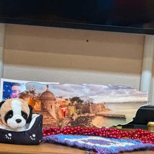 Elizabeth added a photo of their purchase