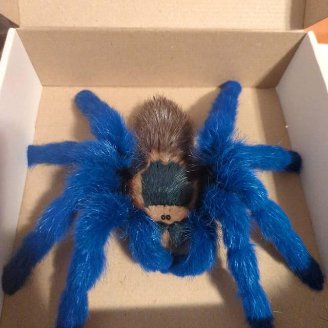 Soft Mount Taxidermy Spider Plush Faux Taxidermy Greenbottle Blue
