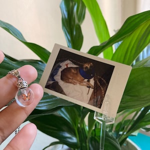 Yane added a photo of their purchase