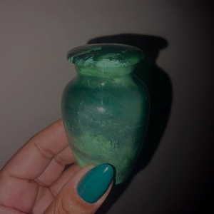 Panchita added a photo of their purchase