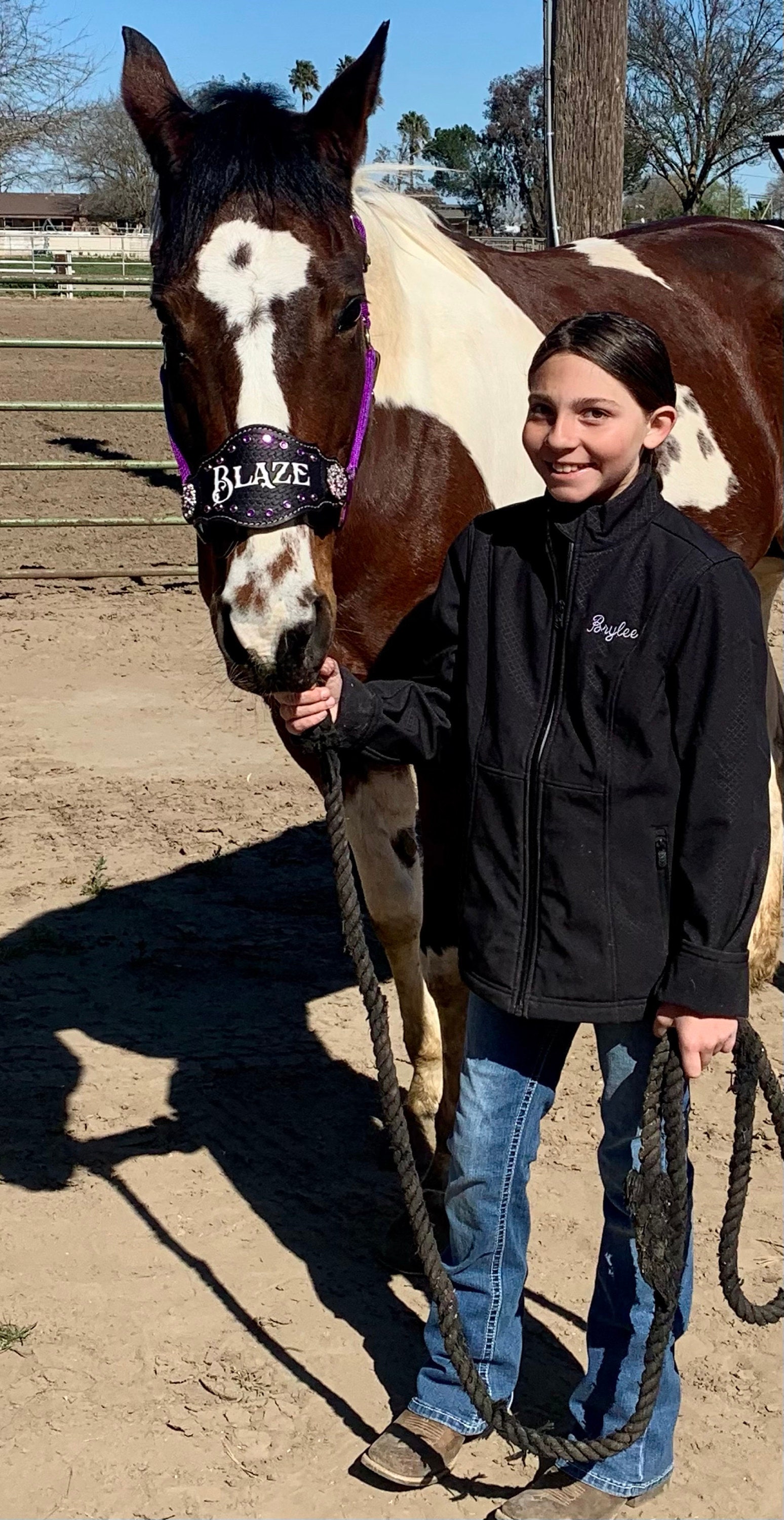 Custom Nylon Bronc Halter - Stronger Design Than Tab Style Leather Noseband