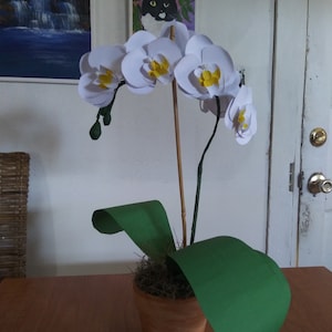 karin added a photo of their purchase