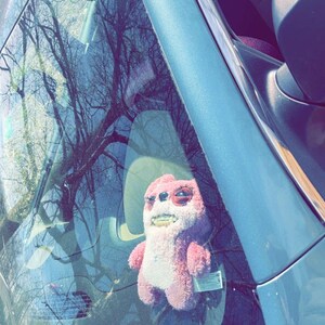 Olivia added a photo of their purchase