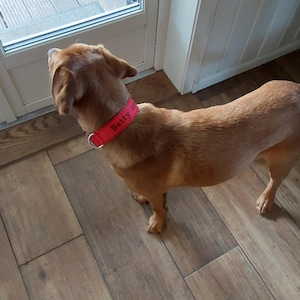 Sabine added a photo of their purchase