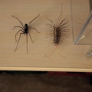 David added a photo of their purchase