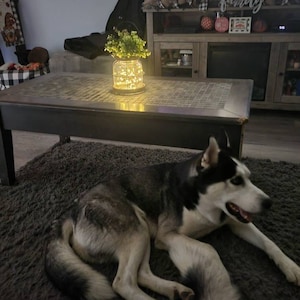 alana hat ein Foto des gekauften Artikels hinzugefügt