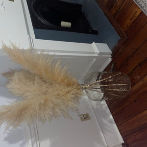 marisa added a photo of their purchase