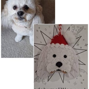Rachel added a photo of their purchase