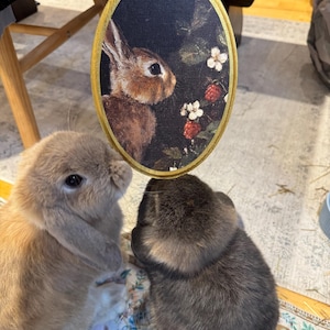 Claudia heeft een foto van de aankoop toegevoegd