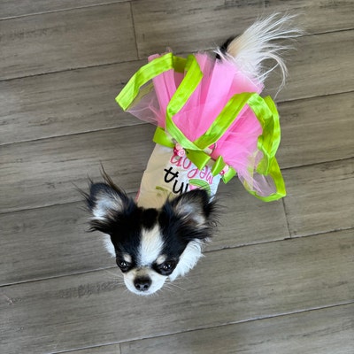 2026 Spring Dog Dress With Petal Skirt (Available in any pattern) (Copy)