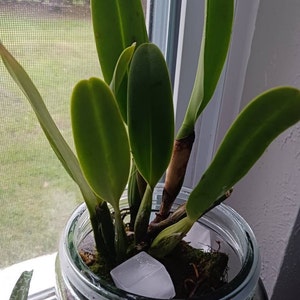 Catalina added a photo of their purchase