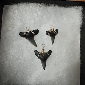 Taryn added a photo of their purchase
