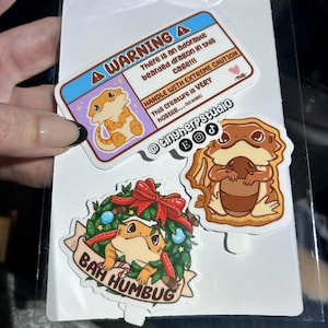 Amber added a photo of their purchase