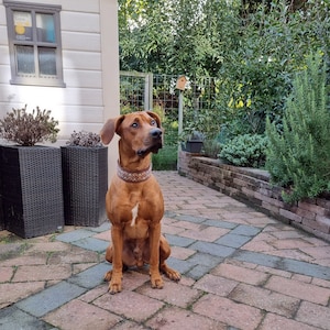 René added a photo of their purchase