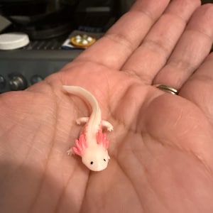 Melissa added a photo of their purchase