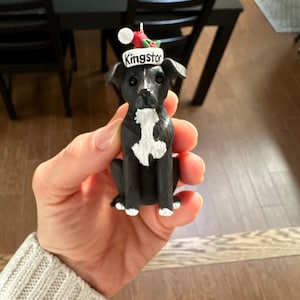 Custom Dog Ornament with Santa Hat or Bow