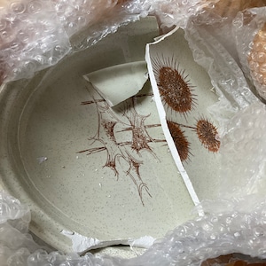 anita added a photo of their purchase