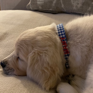 Libby a ajouté une photo de son achat
