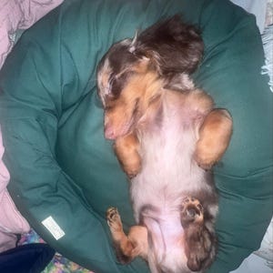 sarai ha añadido una foto de su compra