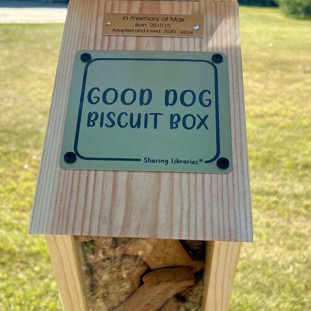 Good dog treat box sales