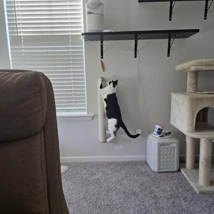 Nicole added a photo of their purchase