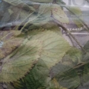 tine ha añadido una foto de su compra