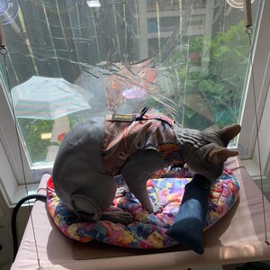 Teri added a photo of their purchase