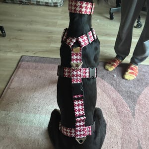 Jai heeft een foto van de aankoop toegevoegd