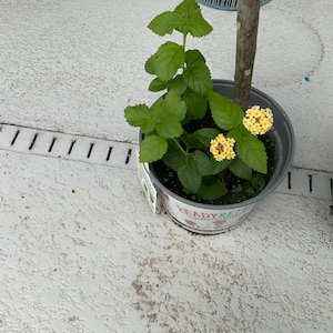 David added a photo of their purchase