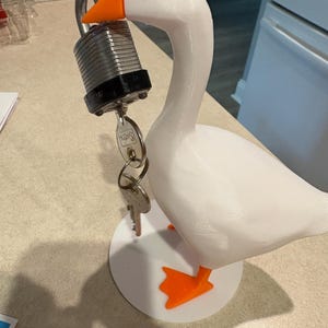 VICKI added a photo of their purchase