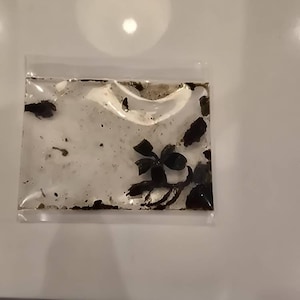dang added a photo of their purchase