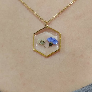 Terri added a photo of their purchase
