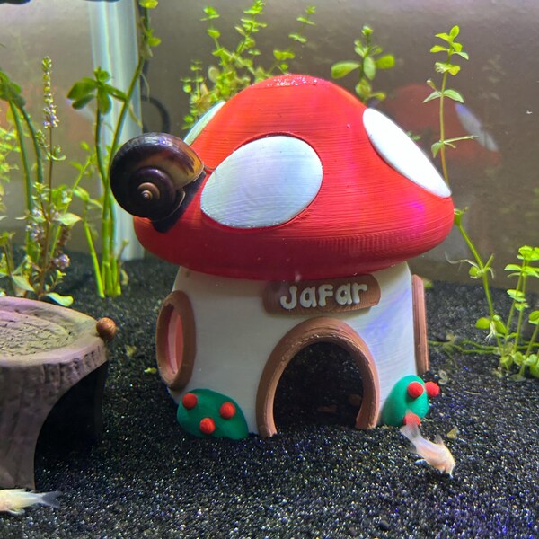Floating Aquarium Fish Exercise Hoop, Star Shaped Betta Enrichment Ring ...