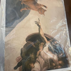 StephM added a photo of their purchase
