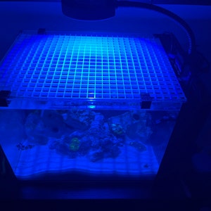 Comprador de Etsy ha añadido una foto de su compra