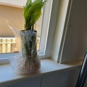 Mar added a photo of their purchase