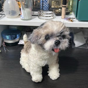 Esther added a photo of their purchase