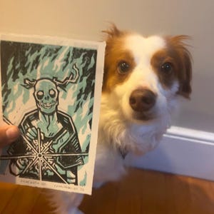 Rocco added a photo of their purchase