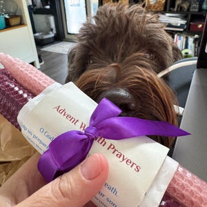 Jill added a photo of their purchase