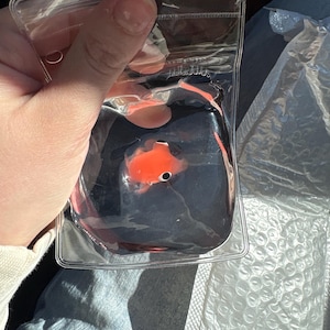 Samantha added a photo of their purchase