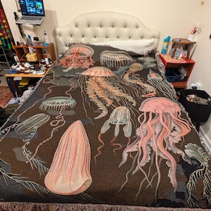 Addys added a photo of their purchase