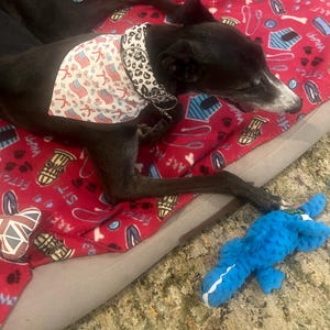 Jill added a photo of their purchase