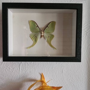Bren added a photo of their purchase