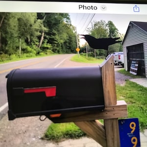 Julie added a photo of their purchase