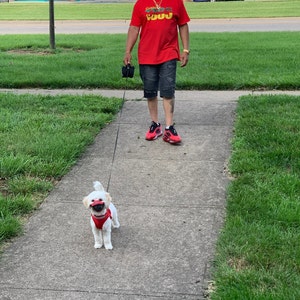 Donna added a photo of their purchase