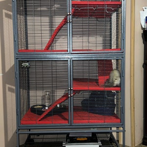 christina added a photo of their purchase