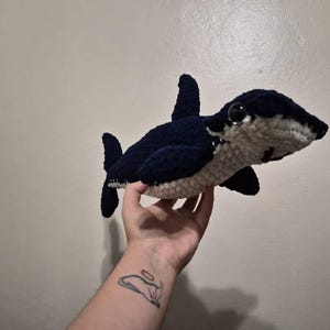 Sofía added a photo of their purchase