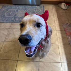 Cornes De Diable Pour Chien Et Chat – Accessoire Halloween, Léger En Feutre, Avec Sangle Ajustable